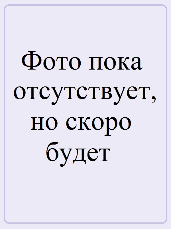 Шитикова Ольга Валентиновна.